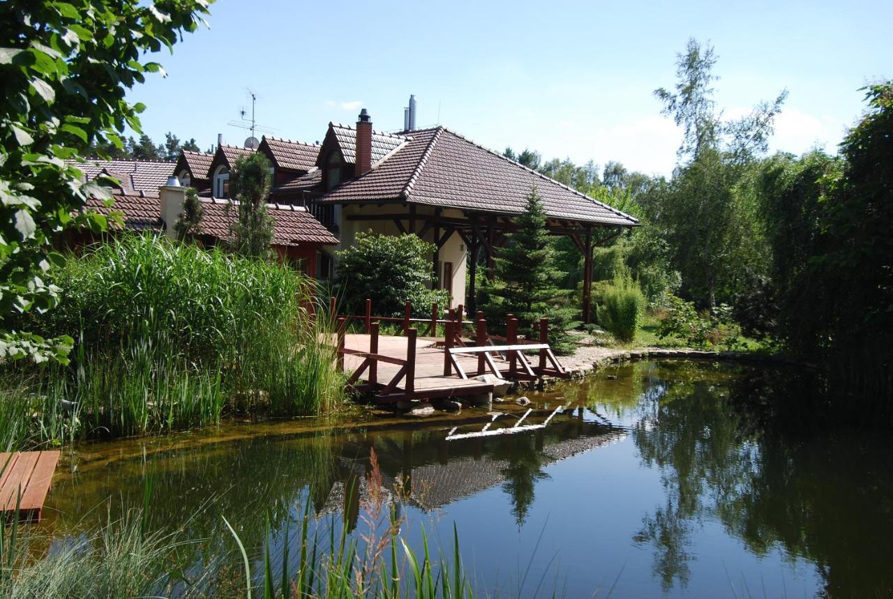 Ivanek Guest House Zvíkovské Podhradí Zewnętrze zdjęcie