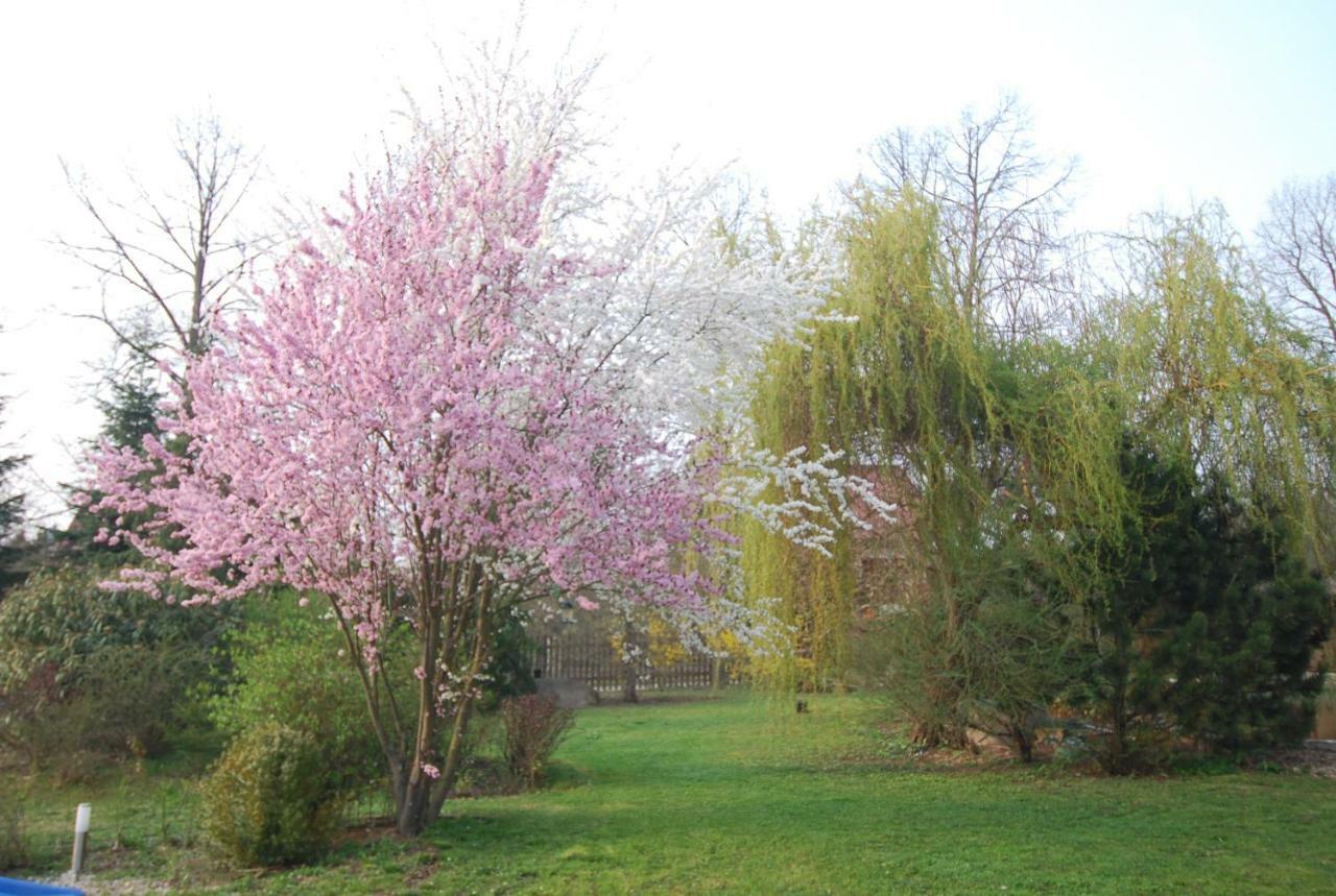 Ivanek Guest House Zvíkovské Podhradí Zewnętrze zdjęcie